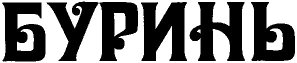 буринь