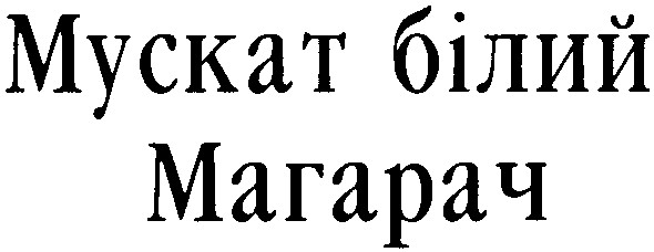 мускат білий