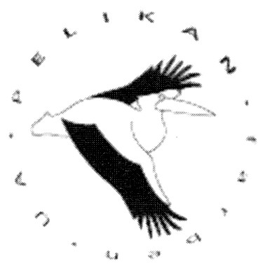 pelikan