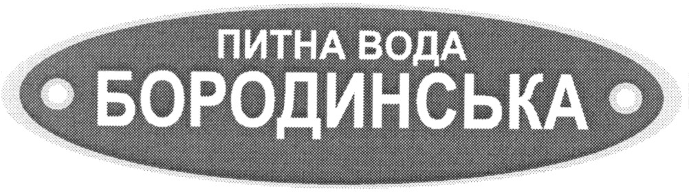 бородинська