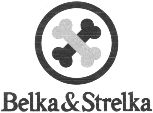 belka strelka