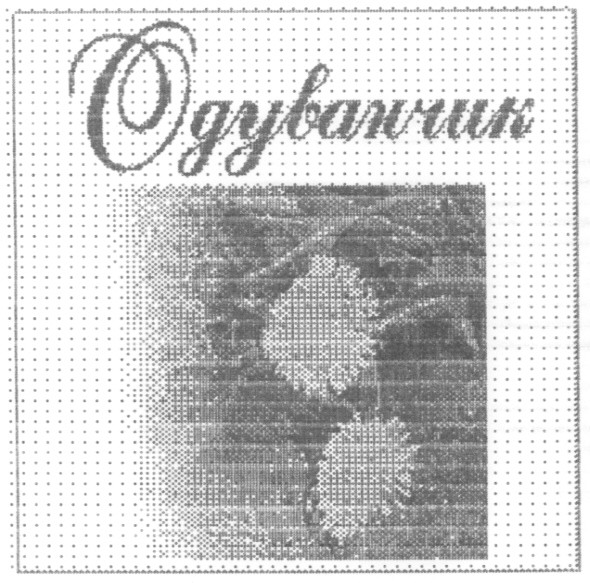 одуванчик