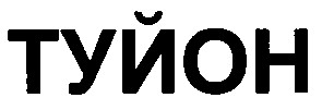 туйон