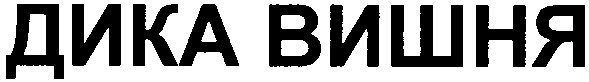 дика вишня
