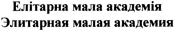 элитарная малая академия