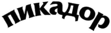 пикадор