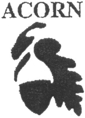 acorn