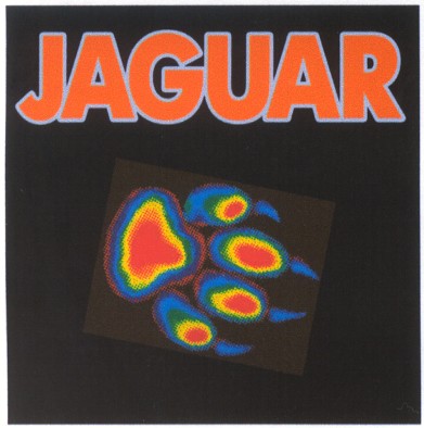 jaguar