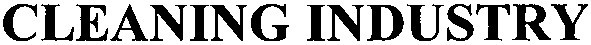 cleaning industry