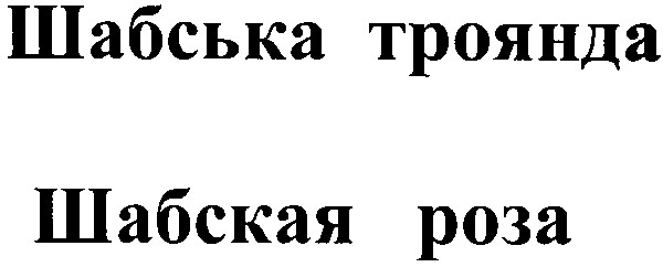 шабська троянда