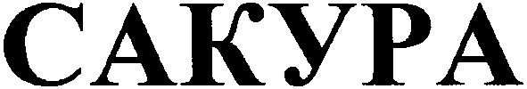 сакура
