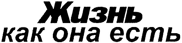 жизнь как она есть