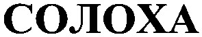 солоха