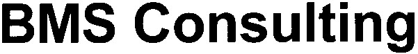 bms consulting