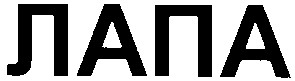 лапа