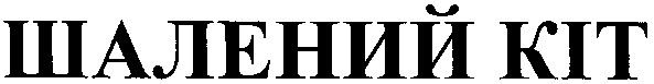 шалений кіт