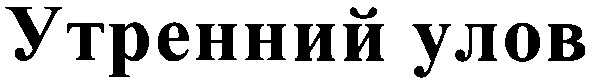 утренний улов