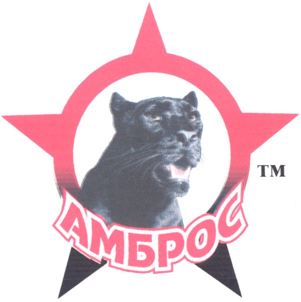 амброс