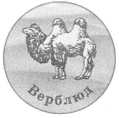 верблюд