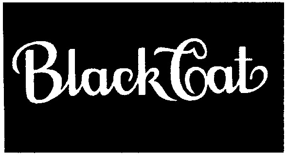 black cat