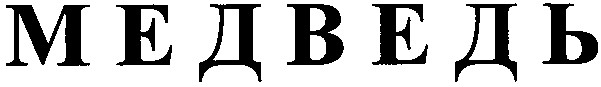 медведь