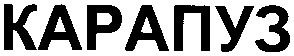 карапуз