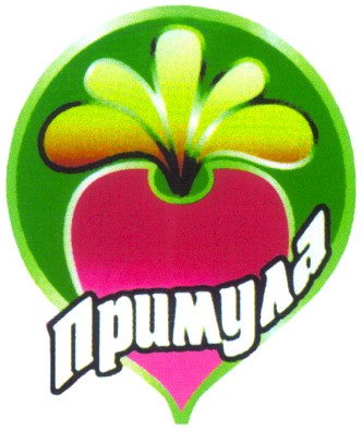примула