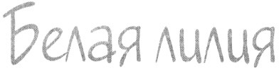 белая лилия