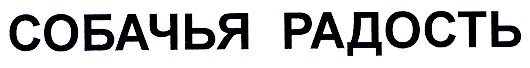 собачья радость