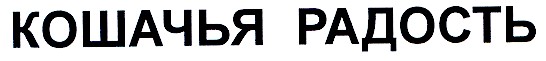 кошачья радость