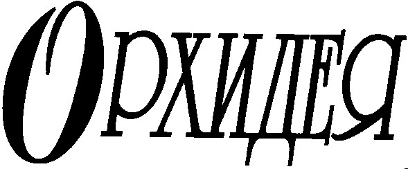 орхидея