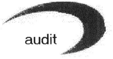 audit