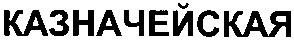 казначейская