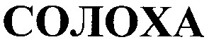 солоха