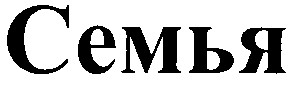 семья