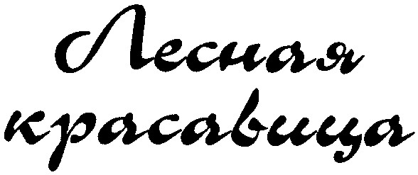 красавица