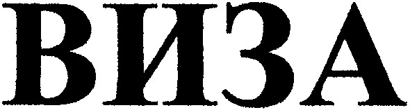 виза
