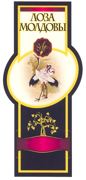 fabricat in moldova