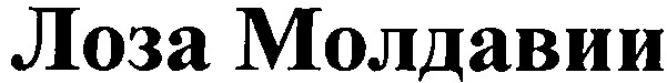 лоза молдавии