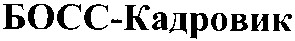 босс кадровик