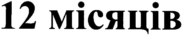 12 місяців