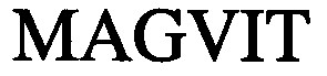 magvit