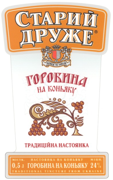 nosce te ipsum