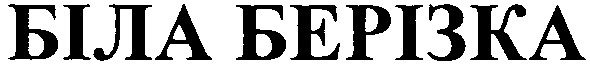 біла берізка
