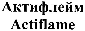 актифлейм