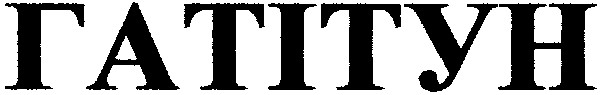 гатітун