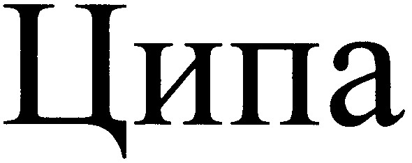 ципа