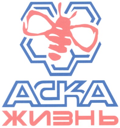 жизнь