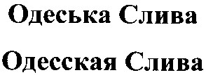 одесская слива