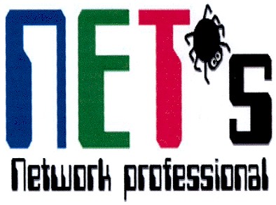 network professional